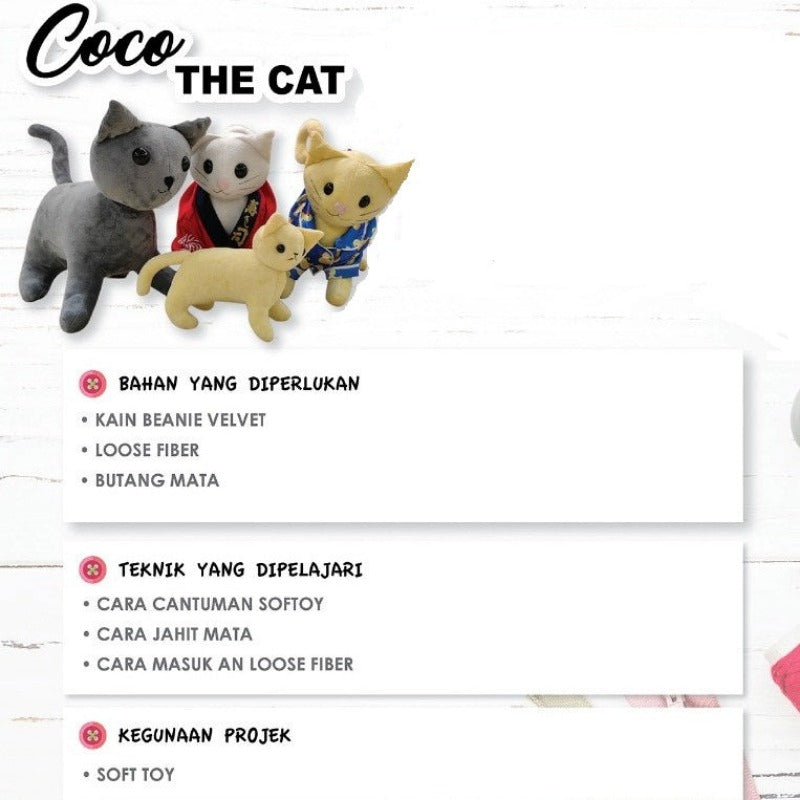 Coco The Cat Online Workshop