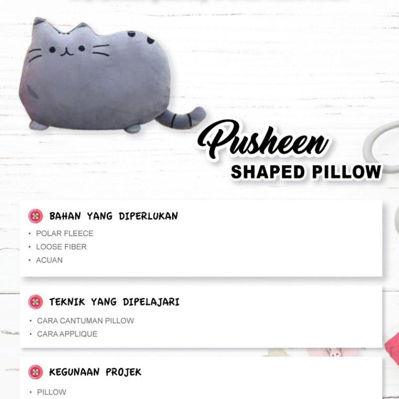 Pusheen Shaped Pillow Online Workshop